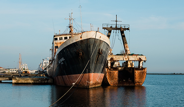 Embarkation-and-Disembarkation2